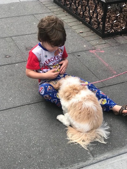 A young boy sitting on a concrete pedestrian while playing with a small dog