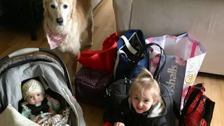 A baby in a carrier with a knit white beanie, a golden retriever with a pink-white bandana, and a li...