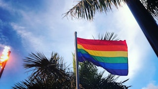 LGBTQ flag on a sunny day with palm trees in the background