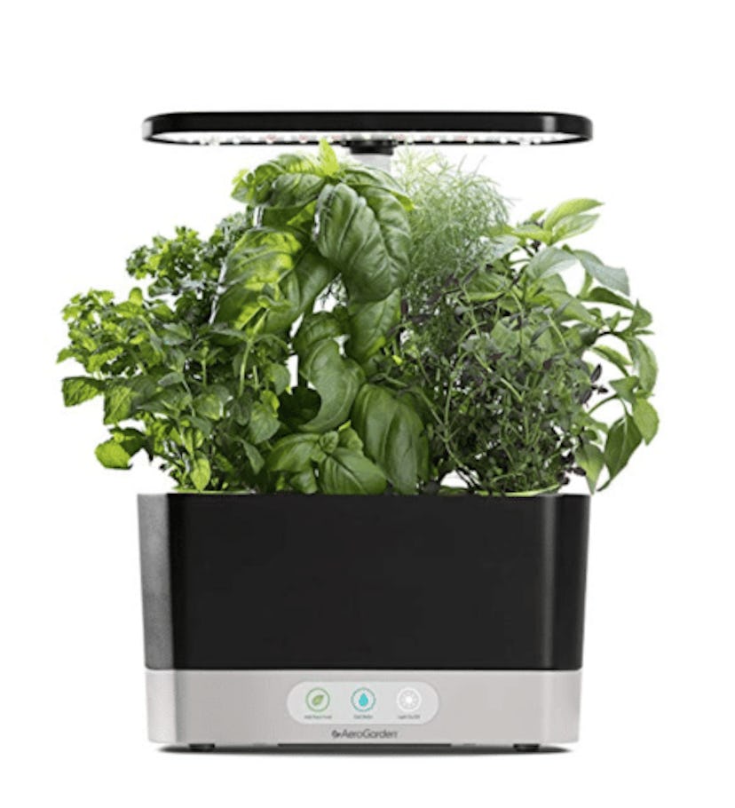 AeroGarden Harvest Indoor Garden