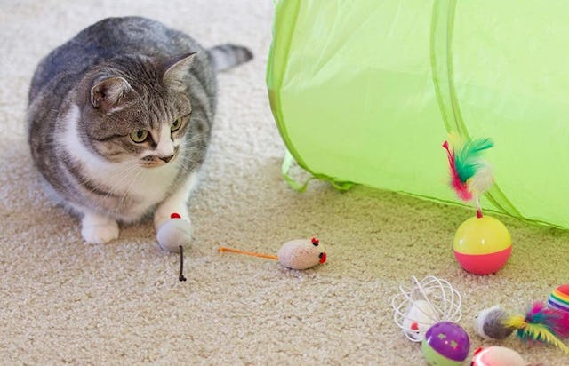 best pet gifts
