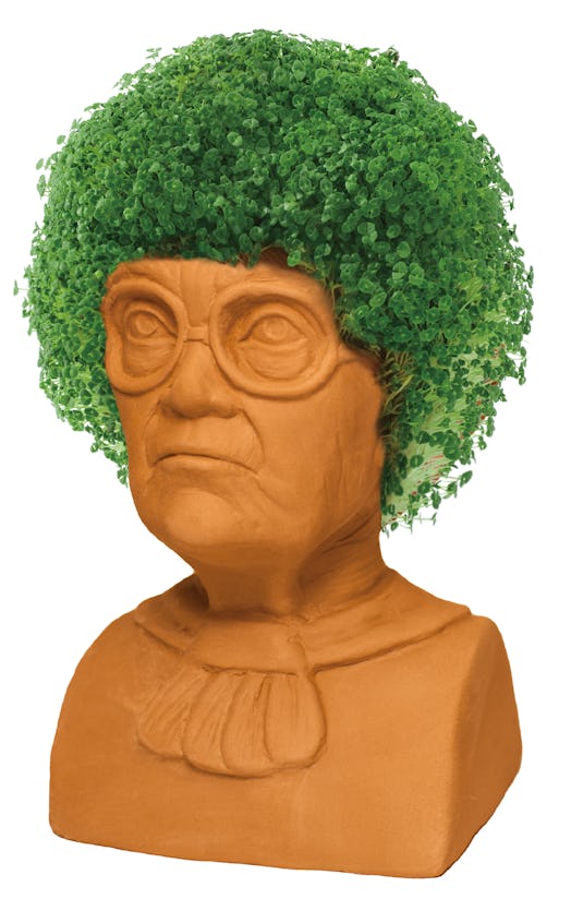 Chia Pet