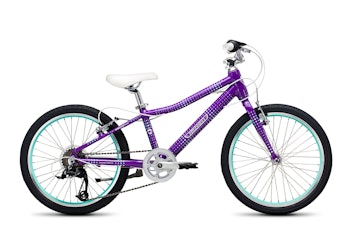 Guardian 20-Inch Large Bike