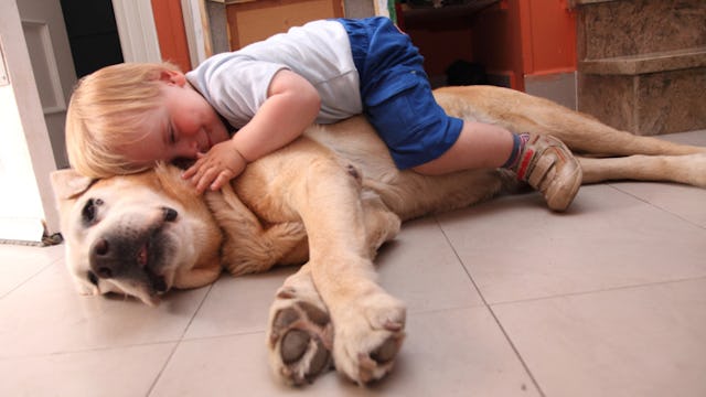 One Syllable Baby Boy