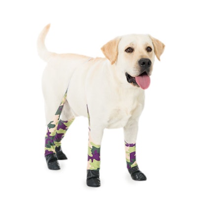 Walkee Paws The world's first dog leggings - Original Version