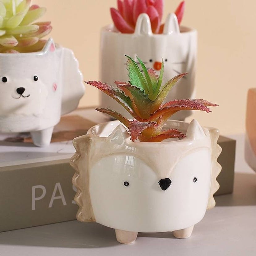 Hedgehog Succulent Plant Pot