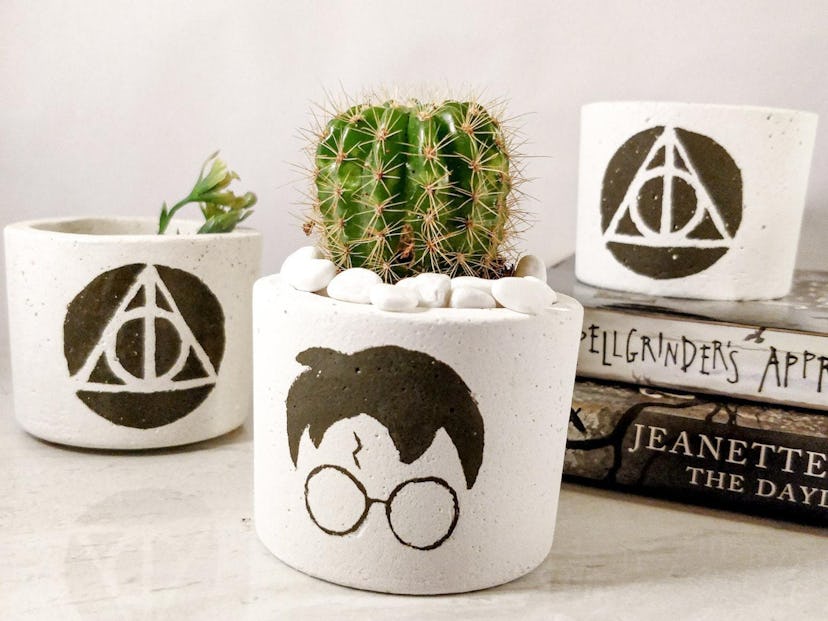 Harry Potter Succulent Planter