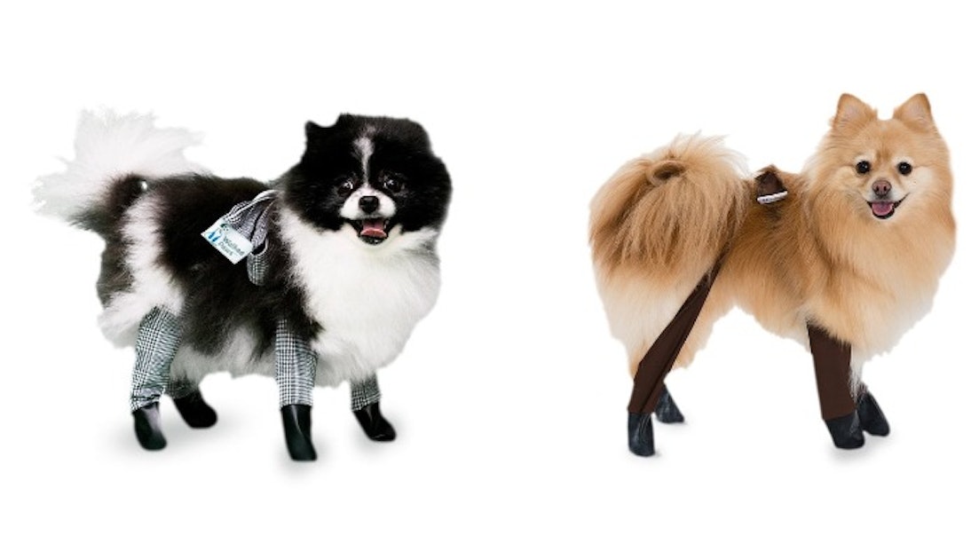 Walkee Paws The world's first dog leggings - Original Version