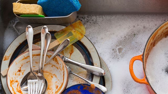 Gross things in the kitchen