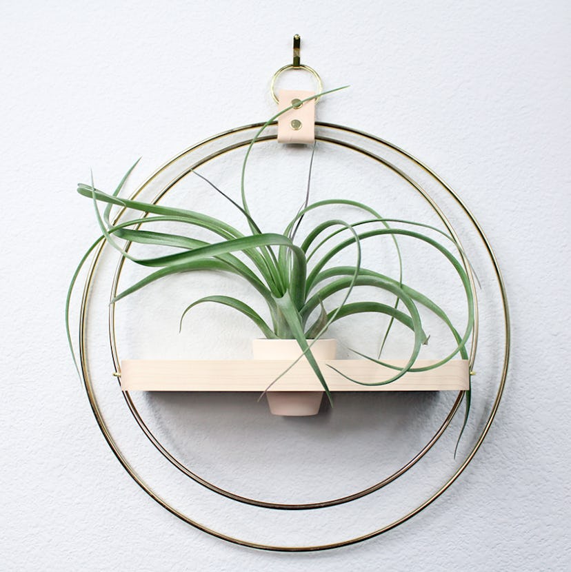 Plant Shelf Blush