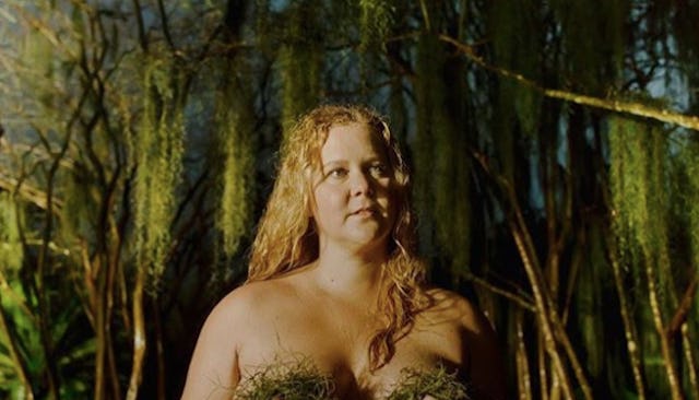 Amy Schumer nude, Amy Schumer pregnancy