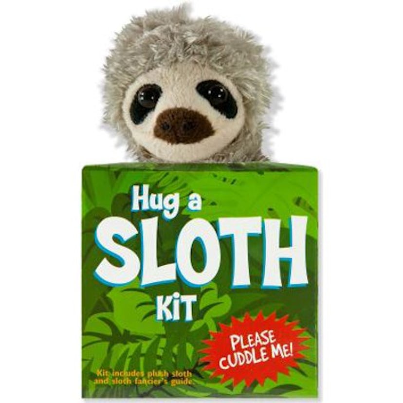 Hug A Sloth Kit- Gifts For Animal Obsessed People