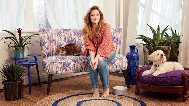 drew barrymore home line