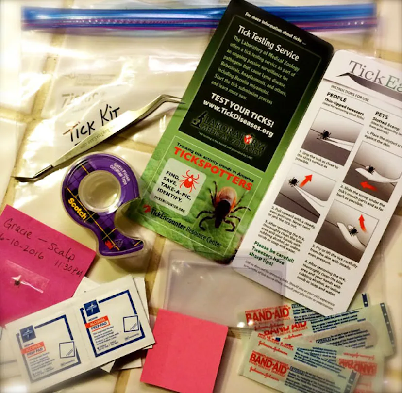 You Need A Tick Kit And Here’s How To Make One