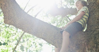 Kid sitting on the tree, as a consequence of the 'Lazy' parenting