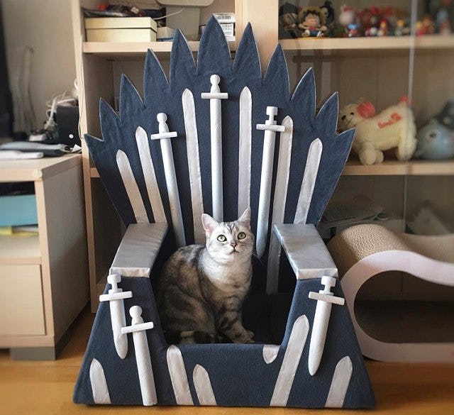 Game of thrones cat bed hotsell