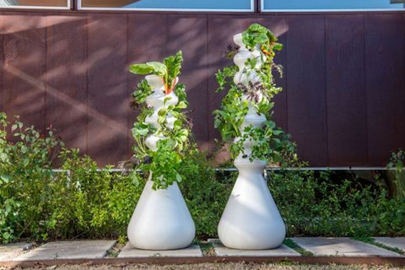 Lettuce Grow Hydroponic Farmstand