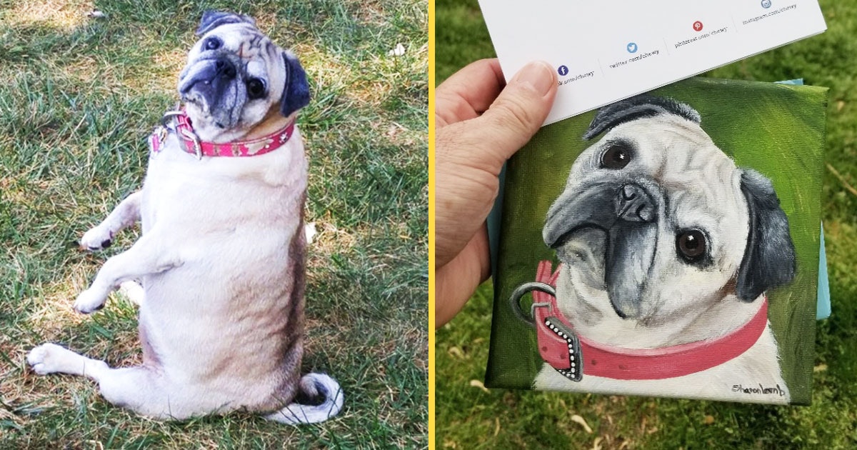 Grieving Dog Owner Cancels Pet Food Order Receives Portrait