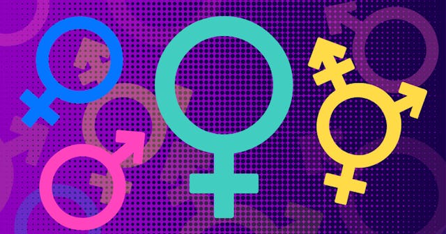 Various multi-colored gender labels on a purple background