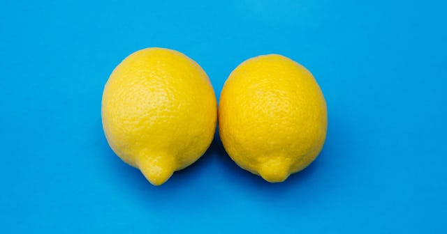 Two lemons leaned against each other on a blue backdrop