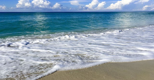 things to do in Gulf Shores with kids