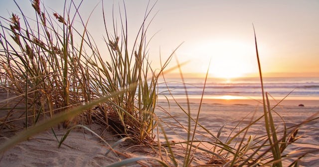 things to do in myrtle beach with kids