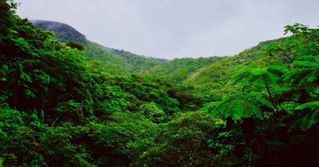 things to do in Puerto Rico with kids,