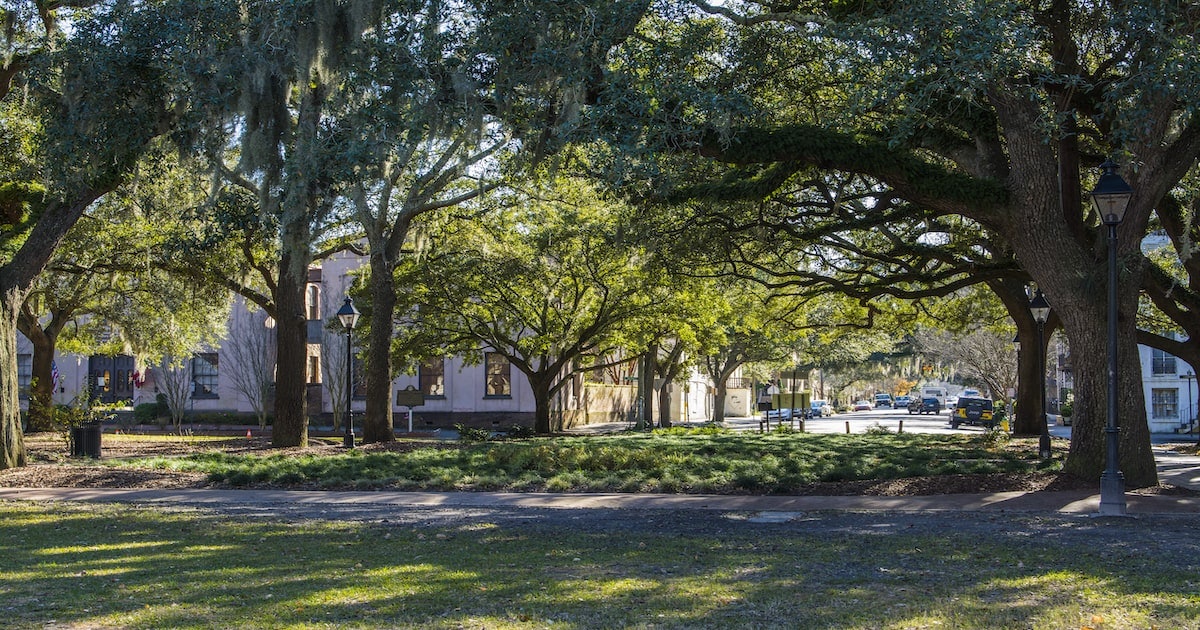 Things To Do In Savannah With Kids