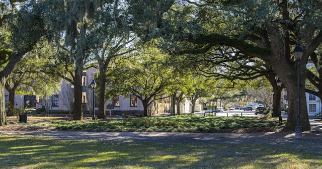 things to do in savannah with kids