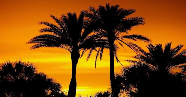 things to do in West Palm Beach with kids
