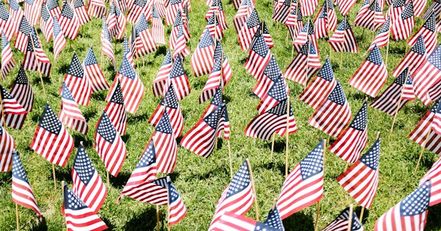 A bunch of little American flags stuck in a field