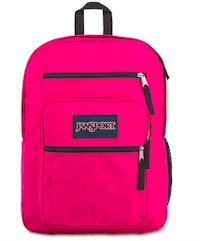 Jansport Pink Backpack