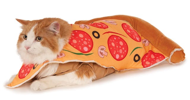 halloween cat costume