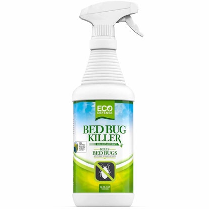 best bed bug spray, eco defense bed bug spray review