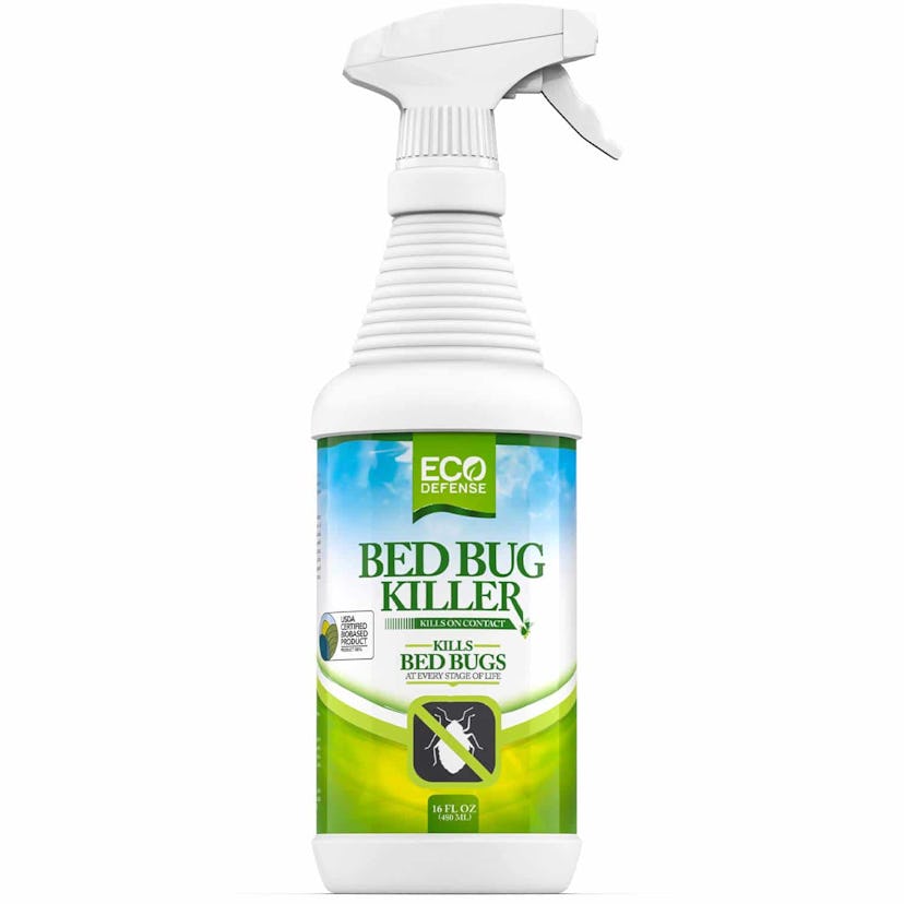 best bed bug spray, eco defense bed bug spray review