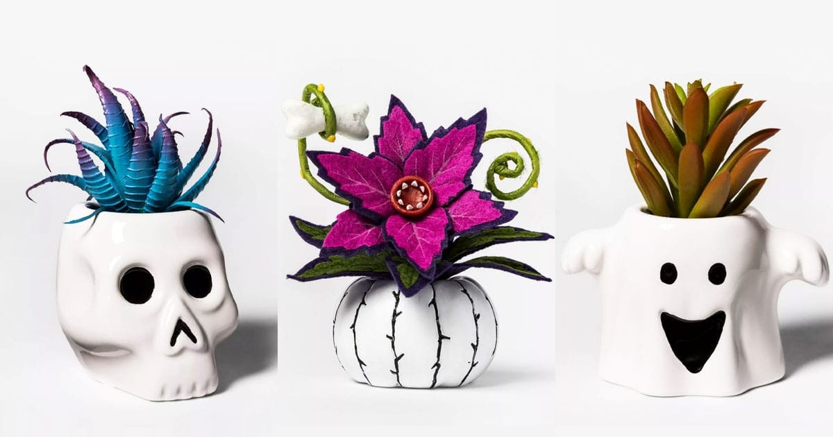 Target’s New Line Of Halloween Succulents Are Cute And Creepy