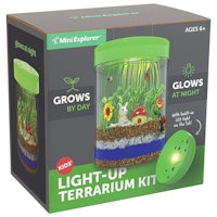 Mini Explorer Light-up Terrarium Kit