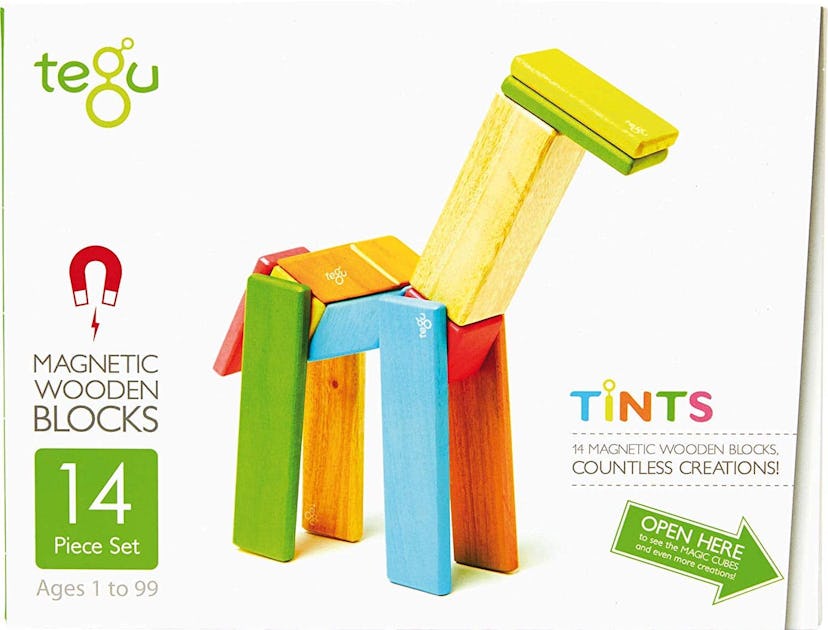 Tegu 14 Piece Magnetic Wooden Block Set