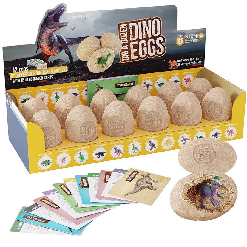 Dig A Dozen Dino Eggs STEM Kit