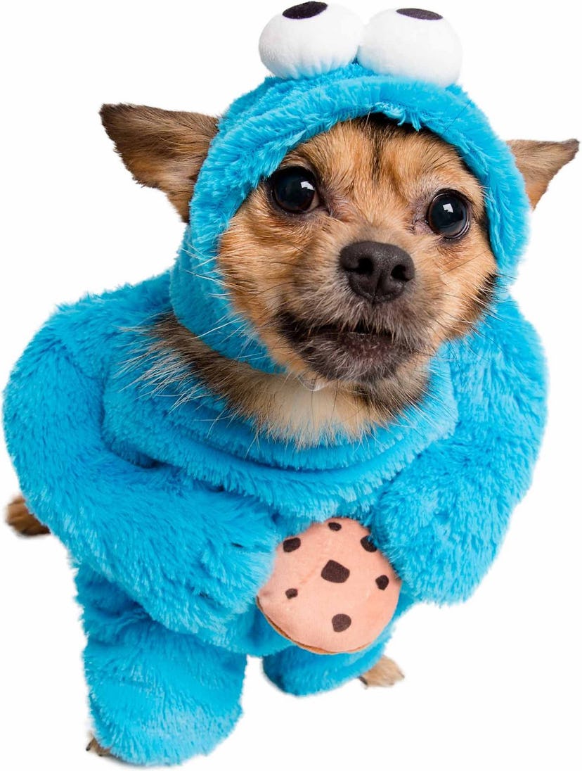 Pet Krewe Sesame Street Cookie Monster Dog & Cat Costume
