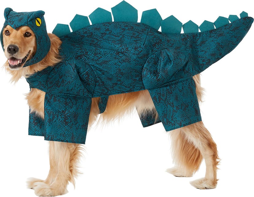 Frisco Stegosaurus Dinosaur Dog & Cat Costume