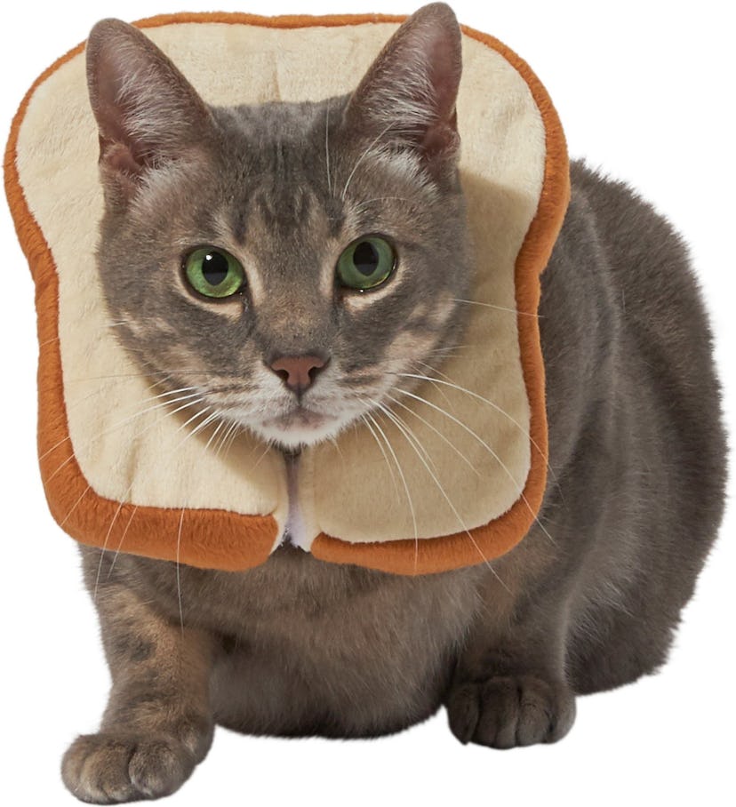 Frisco Bread Cat Costume