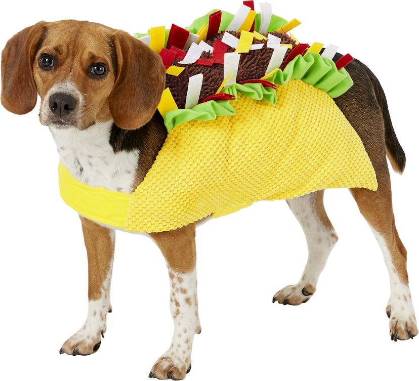 Frisco Taco Dog & Cat Costume