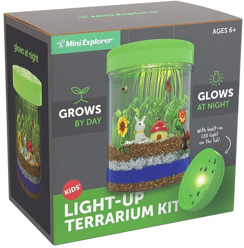 Mini Explorer Light-Up Terrarium STEM Plant Kit
