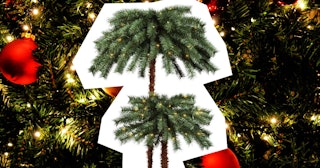 Palm tree decoration made out of Christmas trees 