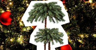 Palm tree decoration made out of Christmas trees