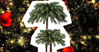 Palm tree decoration made out of Christmas trees 