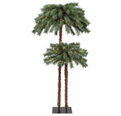 The double palm tree of different heights made out of pine with Christmas lights 