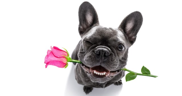 valentine's day quotes