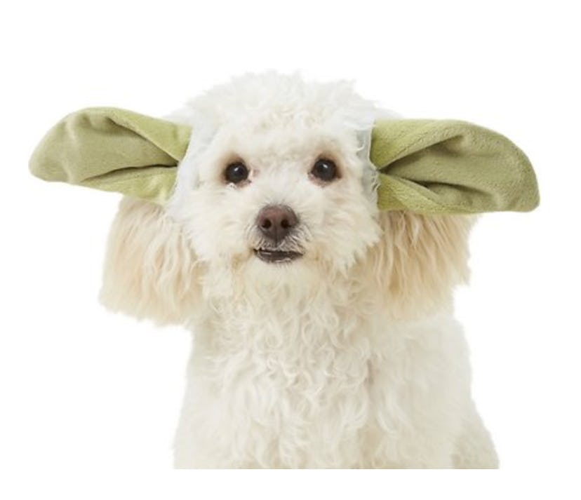 Rubie's Costume Company Yoda Ears Dog & Cat Costume